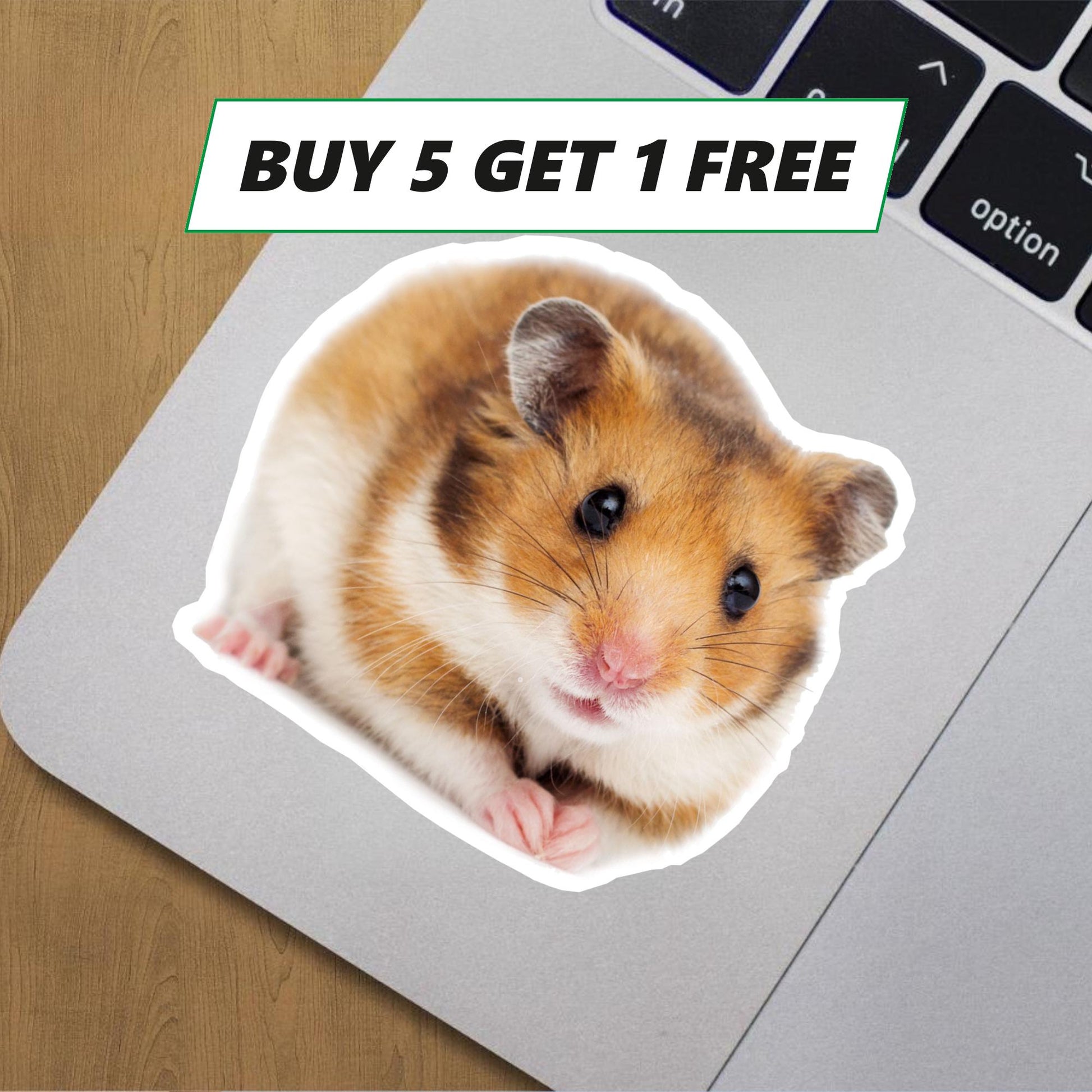 Cute hamster decal