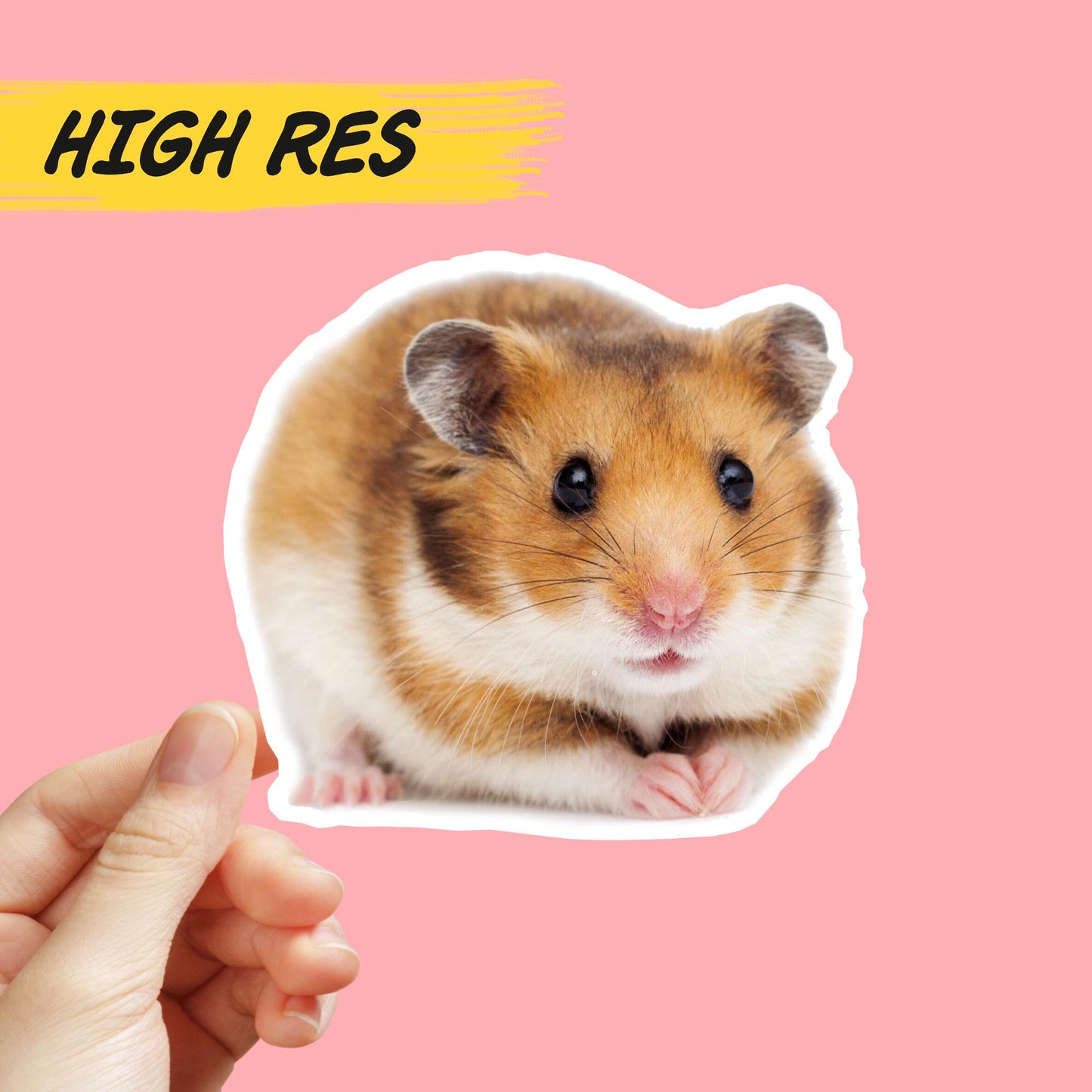 Cute hamster sticker