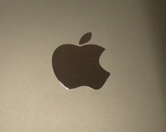 Silver Apple Logo Sticker