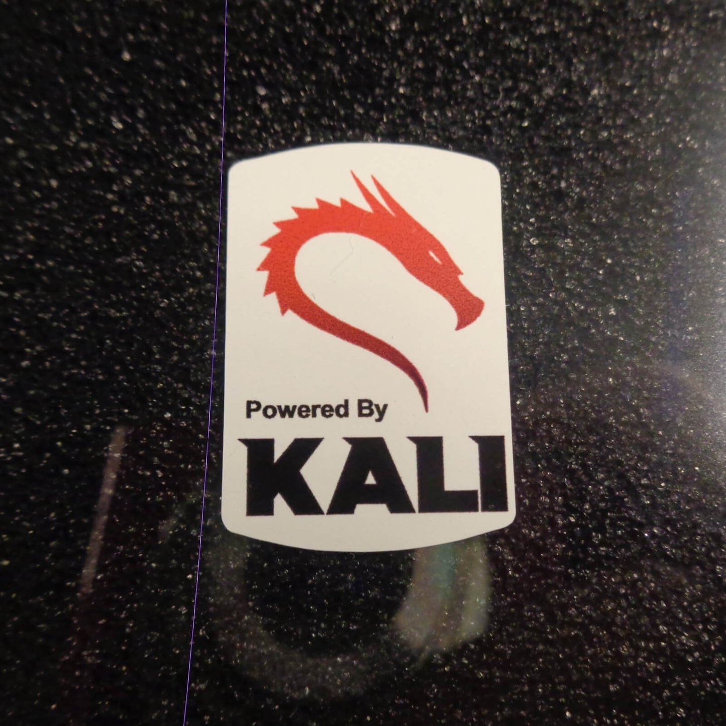 Kali Backtrack LOGO