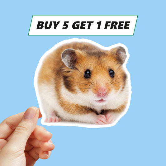Cute hamster sticker